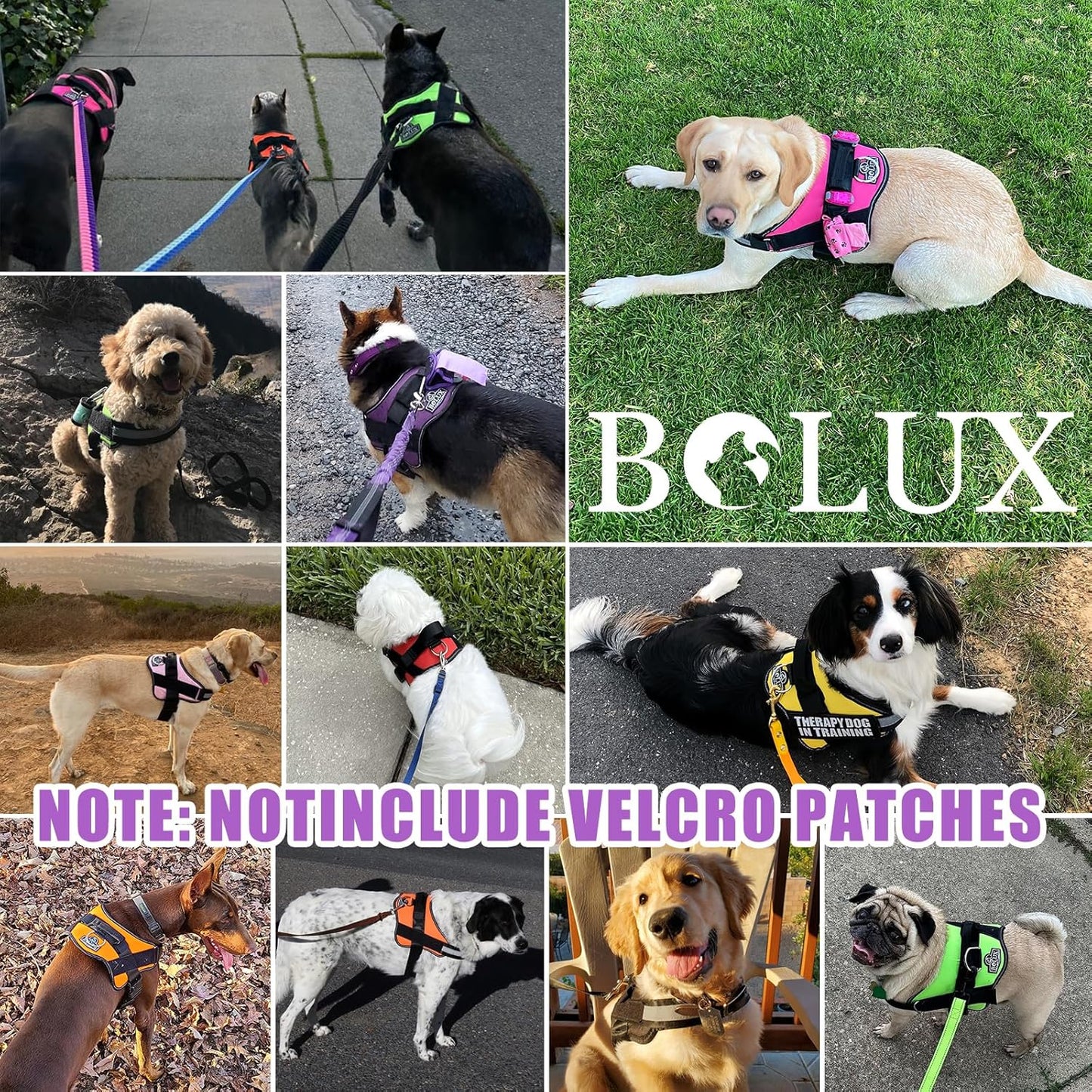 Bolux Dog Harness, No-Pull Reflective Dog Vest, Breathable Adjustable Pet Harness with Handle for Outdoor Walking - No More Pulling, Tugging or Choking (Lavender, Large (Pack of 1))