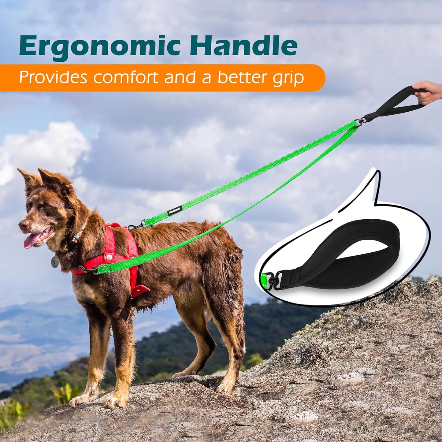 PetBonus Two Point Control Dog Leash, Works with No Pull Harnesses, No Tangle Training Leashes, Soft Padded and Reflective Walking Lead, Converts to Single Lead for Medium Large Dogs (Grass Green)