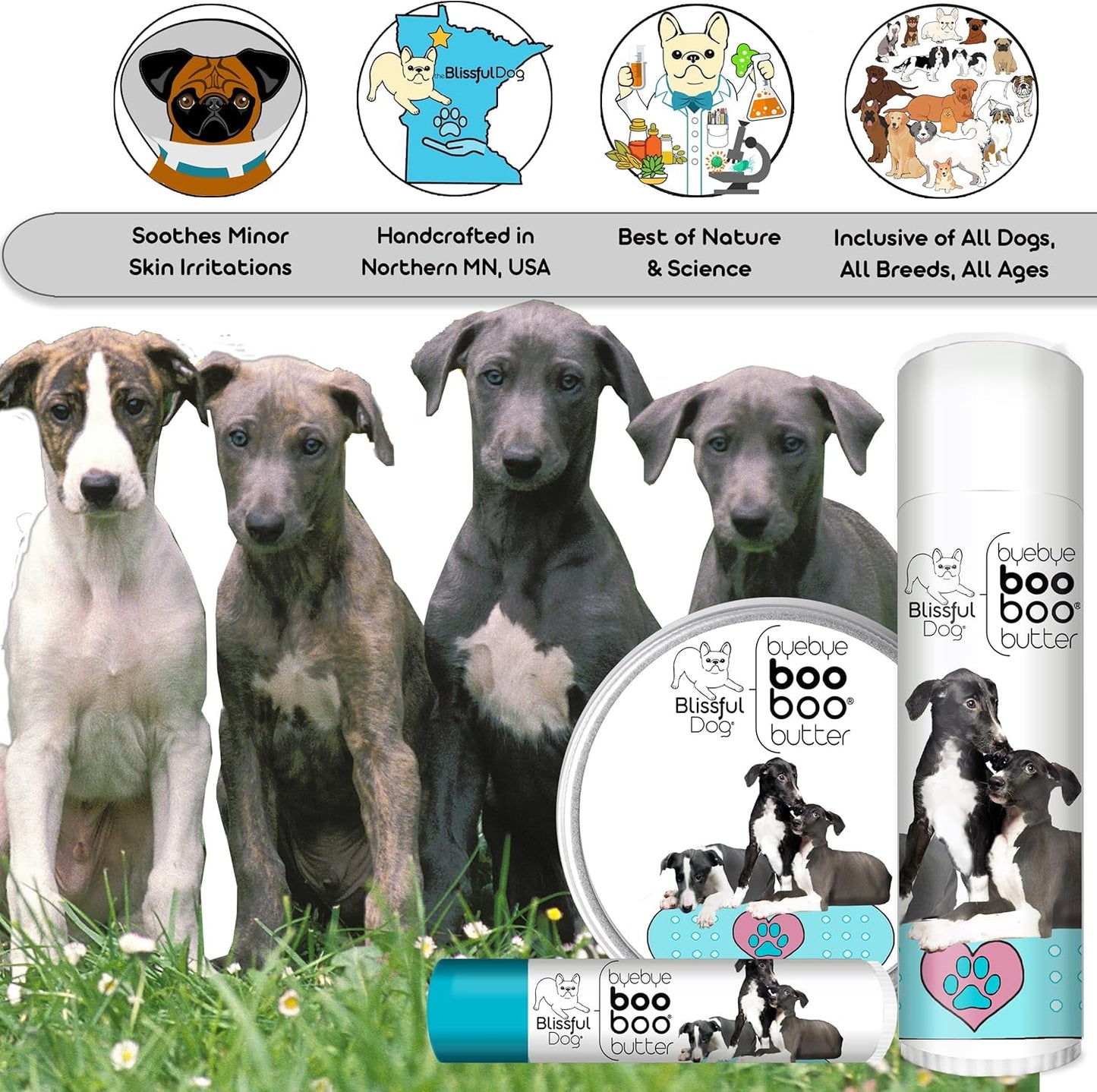 The Blissful Dog Greyhound Boo Boo Butter, 4-Ounce