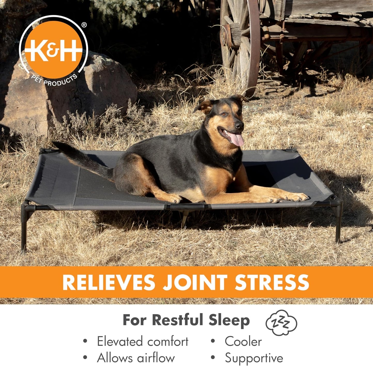 K&H Pet Products Outdoor Elevated Dog Cot, Breathable Cooling Elevated Cot Hammock Pet Bed for XL Dogs, Washable Mesh Cover, Raised Metal Frame, Collapsible, Portable - Jumbo 56 X 38in Charcoal