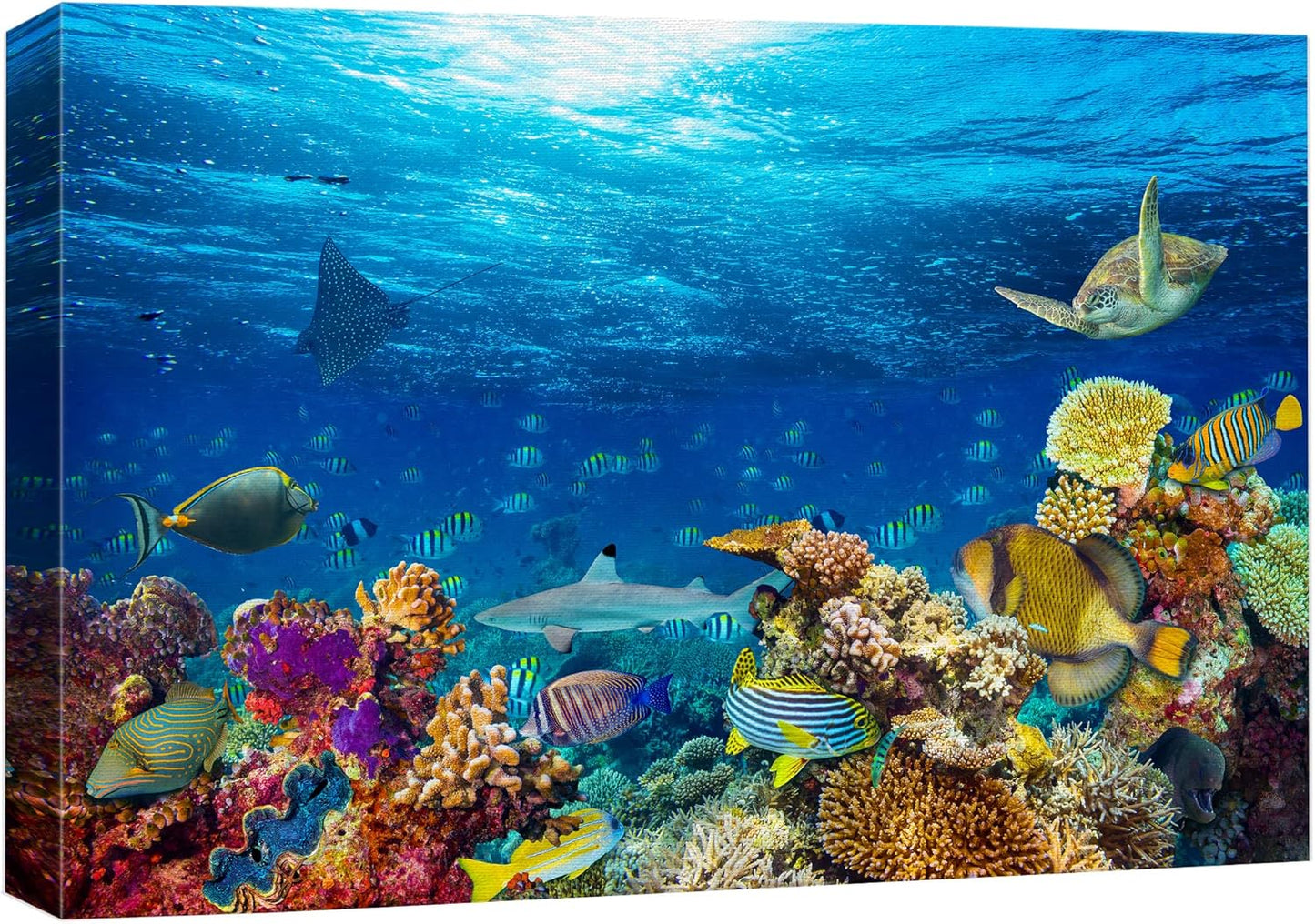 wall26 Canvas Print Wall Art Vibrant Sunshine Ray Coral Reef Turtle Fish Nature Animals Photography Realism Rustic Scenic Landscape Wilderness Colorful for Living Room, Bedroom, Office - 24"x36"