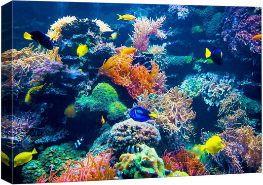 wall26 Canvas Print Wall Art Vibrant Multicolor Coral Reef Fish Ecosystem Nature Animals Photography Realism Rustic Scenic Landscape Wilderness Colorful for Living Room, Bedroom, Office - 16"x24"
