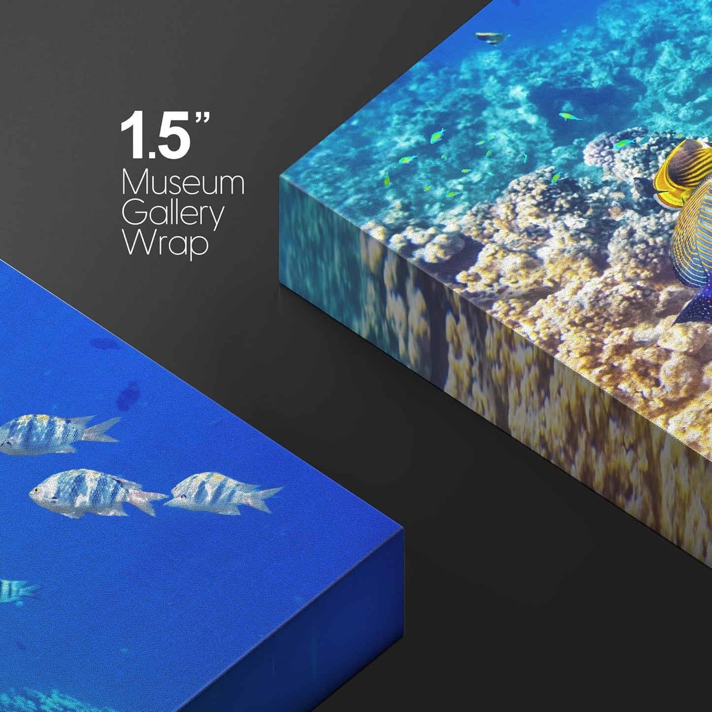 wall26 Canvas Print Wall Art Underwater Neon Blue Teal Ocean Water Fish Nature Animals Photography Realism Rustic Scenic Landscape Wilderness Earth for Living Room, Bedroom, Office - 12"x18"