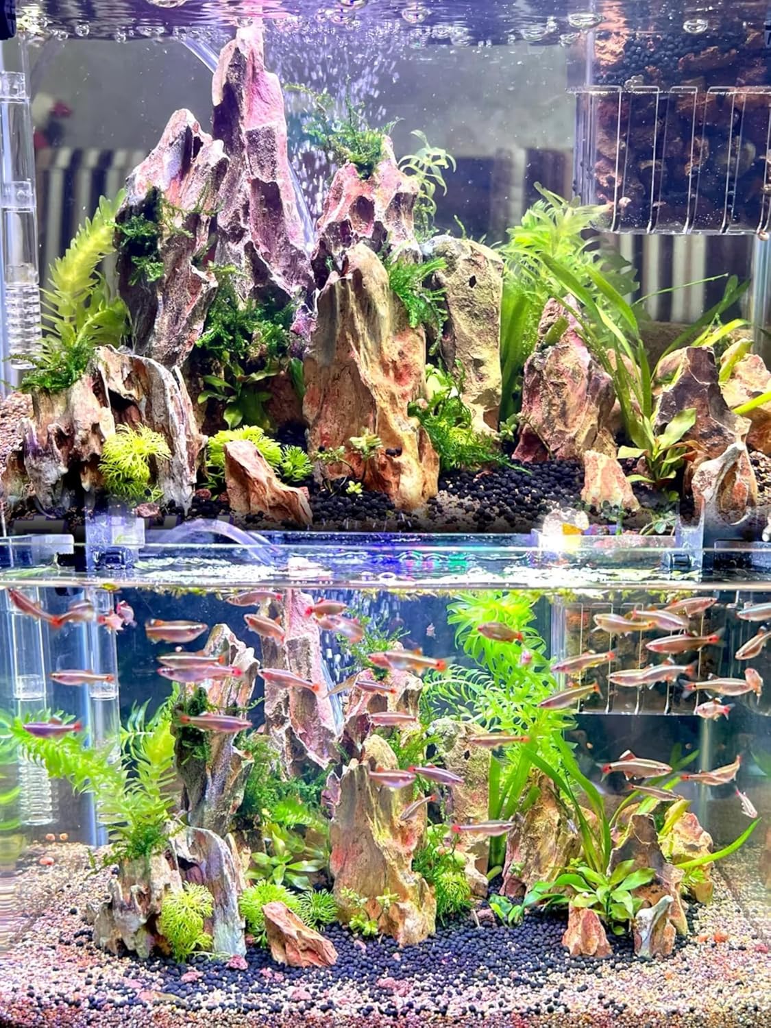 Dragon Rocks Aquariums Stones Natural Rocks for Aquascaping, Aquariums, Terrariums, Vivariums Decorative Stone,Reptile Enclosures,Paludariums,and Gardens-10LB（2 to 7 inch）