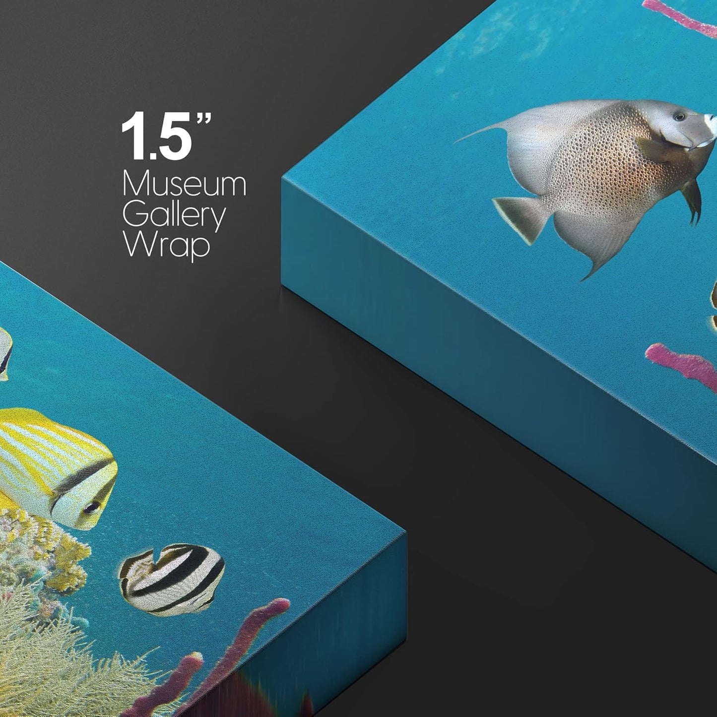 wall26 Canvas Print Wall Art Deep Sea Marine Fish with Coral Reef Nature Ocean Photography Realism Nautical Scenic Relax/Calm Multicolor Ultra for Living Room, Bedroom, Office - 32"x48"