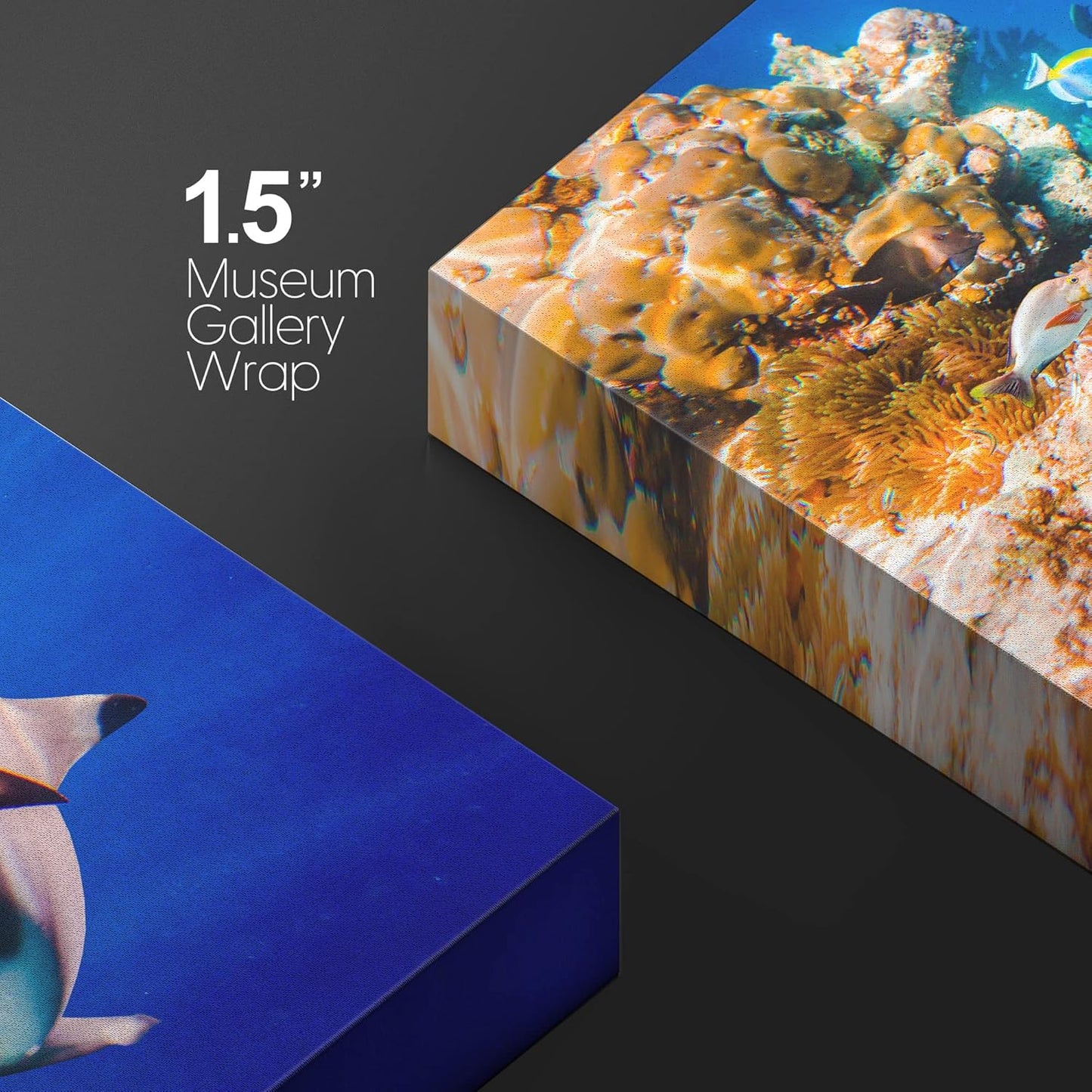 wall26 Canvas Print Wall Art Shark Fish Multicolor Coral Reef Ocean Sea Nature Animals Photography Realism Rustic Scenic Landscape Wilderness Earth for Living Room, Bedroom, Office - 32"x48"