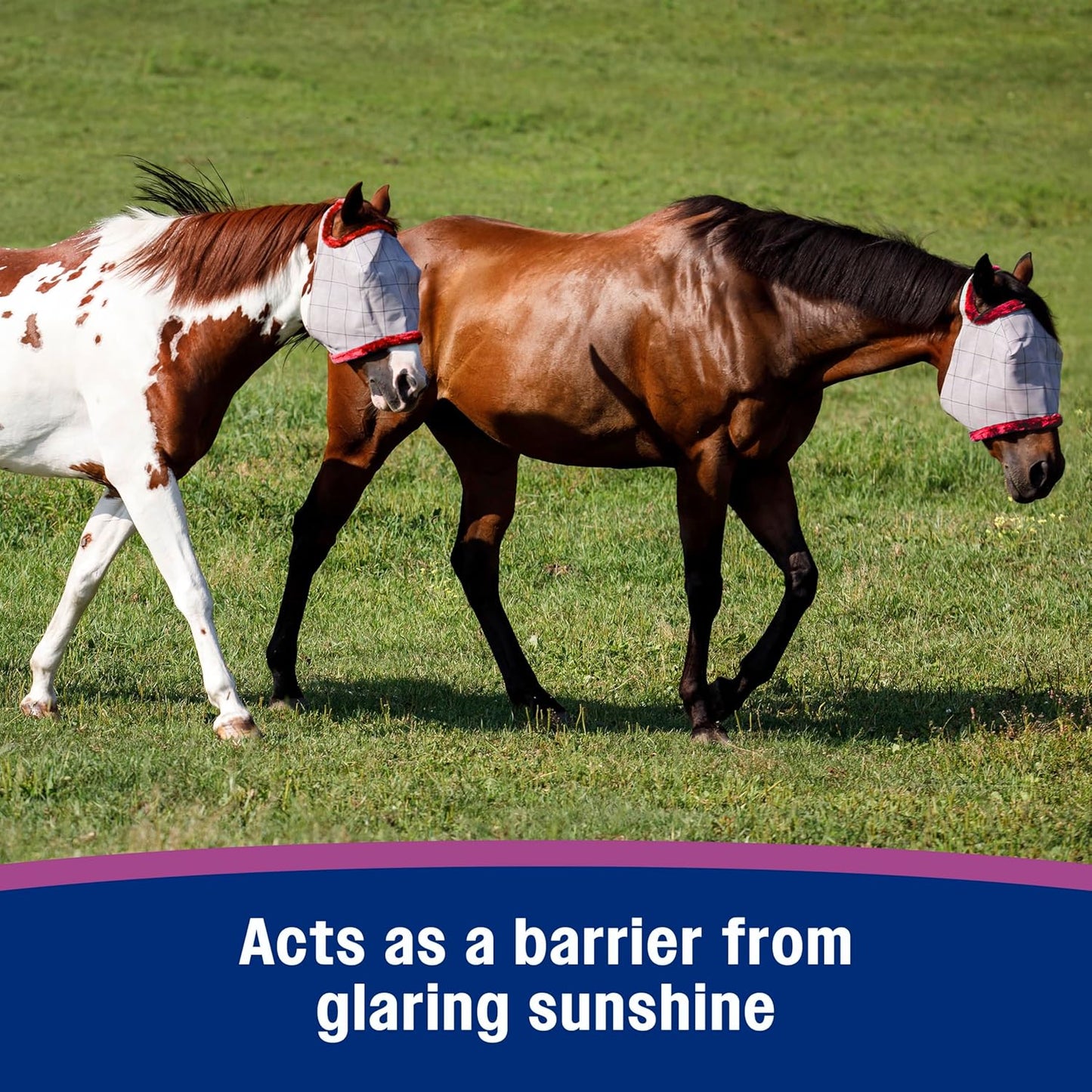 Farnam SuperMask II horse fly mask without ears, extended coverage, protects eyes from insects and debris, adjustable throat latch, Yearling size