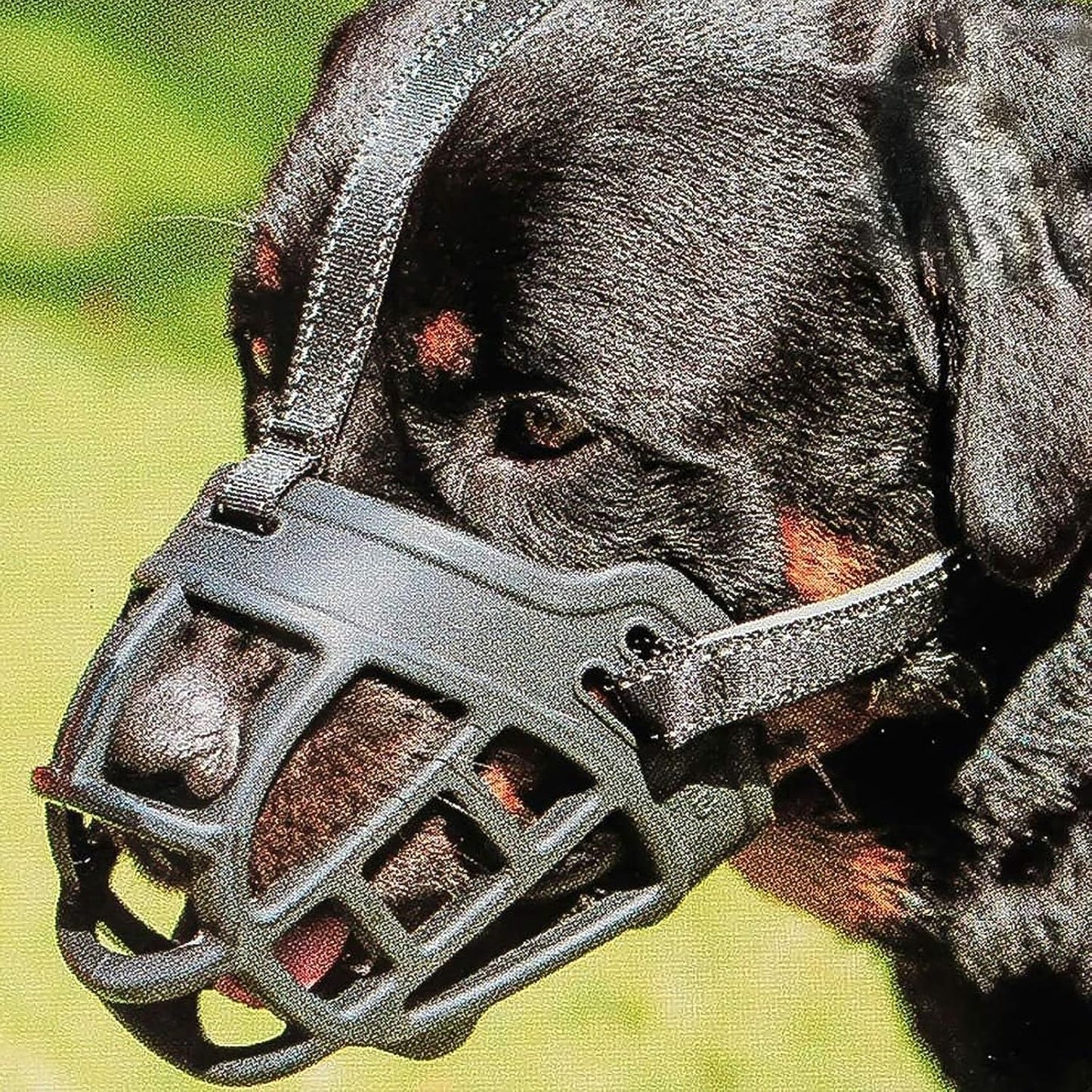 BARKLESS Dog Muzzle, Soft Basket Silicone Muzzle for Dogs to Prevent Biting and Chewing, Breathable Cage Mouth Cover for Training, Allows Drinking and Panting, Used with Collar