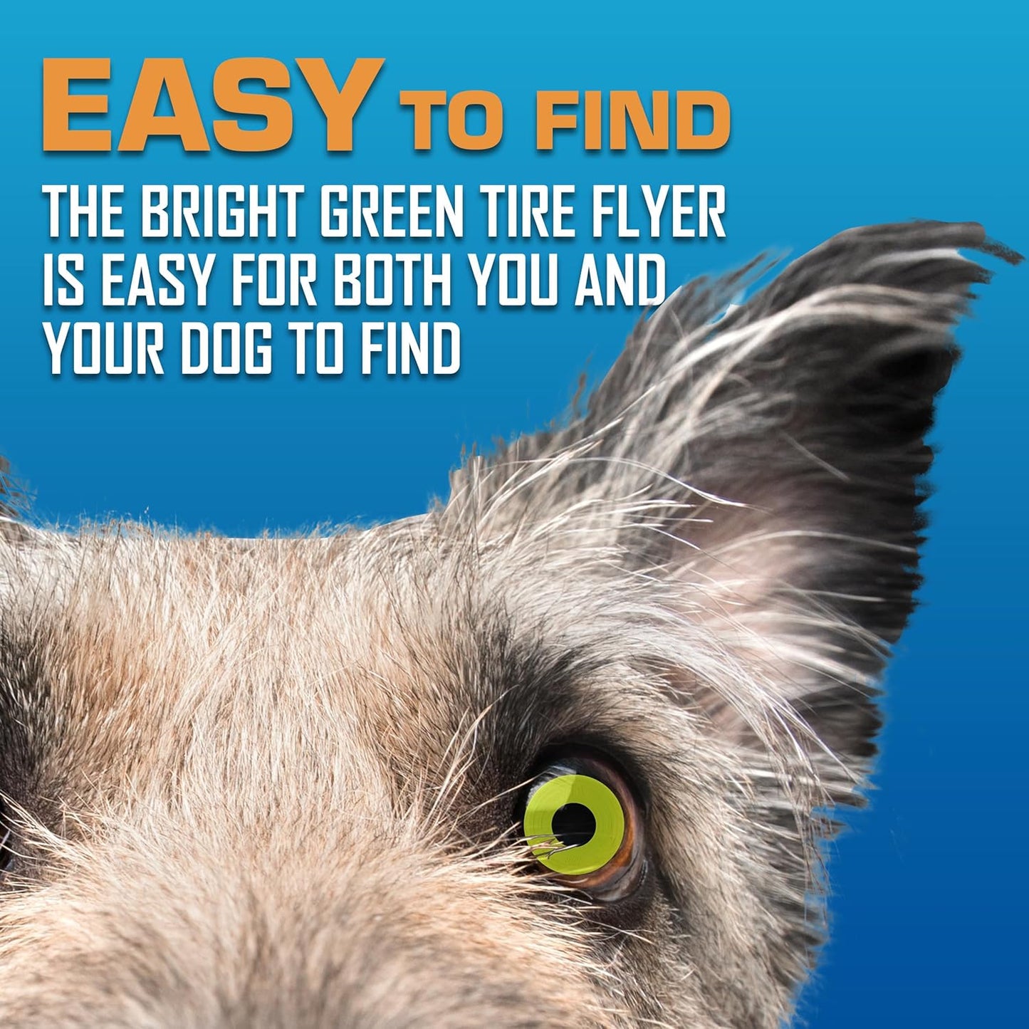 Nerf Dog Atomic Flyer Outdoor Dog Toy, 10 Inch Flying Disc Dog Fetch Toy, Rubber Dog Toy for Medium Dogs and Large Dogs, Green