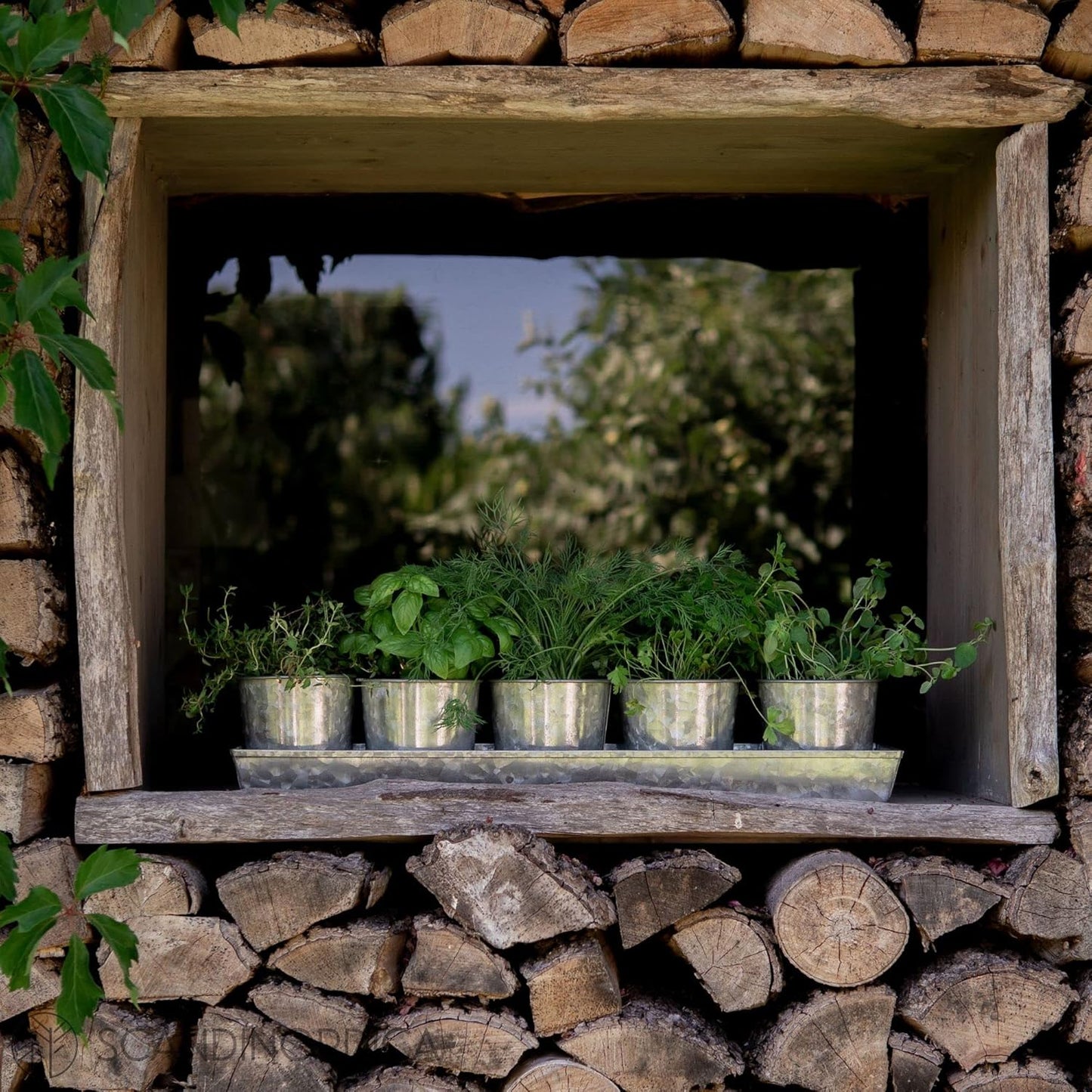 SCANDINORDICA Galvanized Metal Herb Planter, 5 Pots with Drainage Holes, Indoor Outdoor Use, Farmhouse Decor, 19.5x3.9x3.5 inches