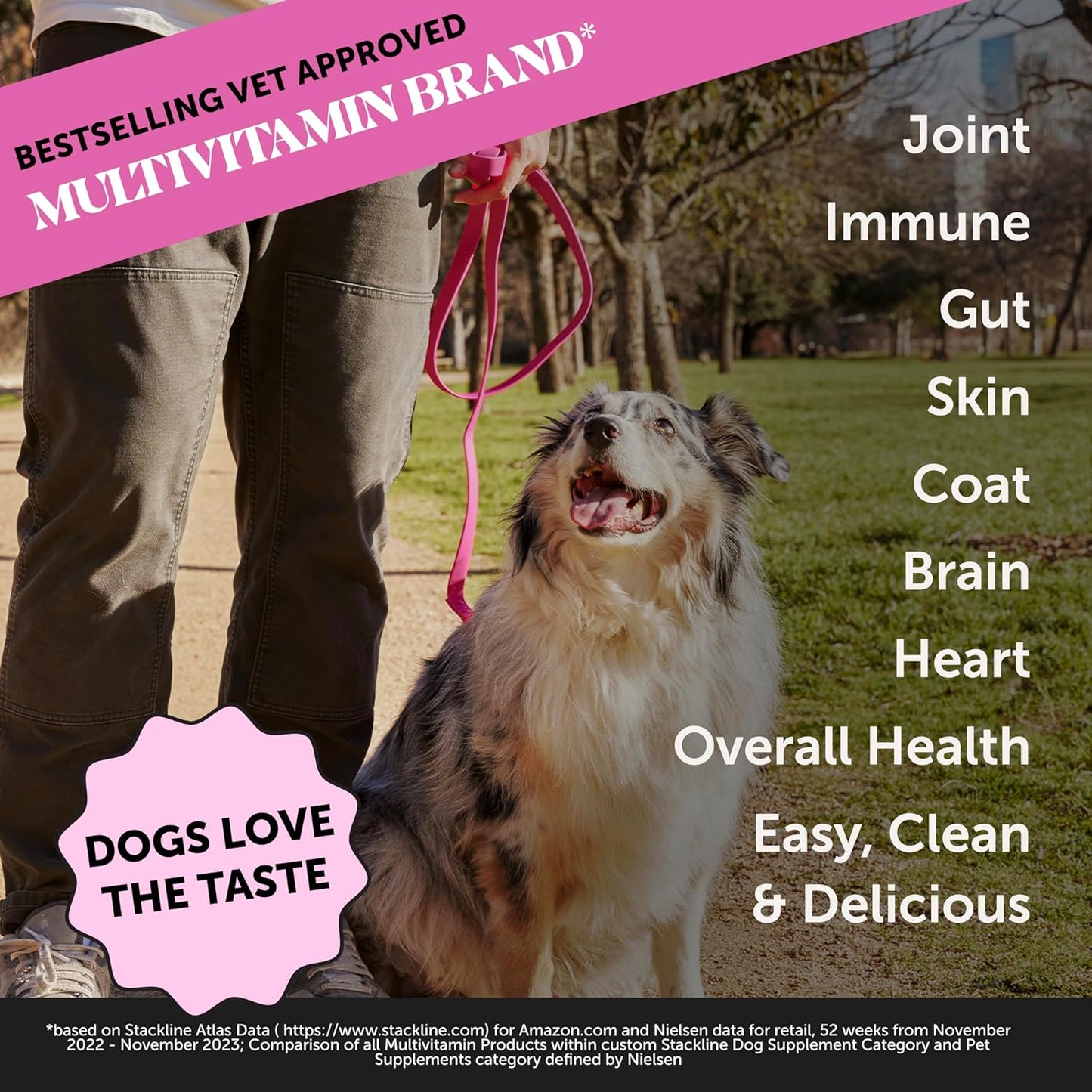 Dog Multivitamin Supplement with Salmon Oil for Dogs - Allergy Itch Relief, Digestion, Skin & Coat Health, Liquid Supplement - Dog Food Topper Bone Broth with Prebiotics (12 oz)
