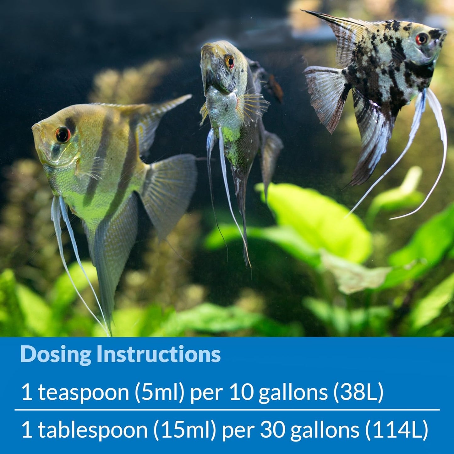 API STRESS COAT Aquarium Water Conditioner 5-Gallon Bottle