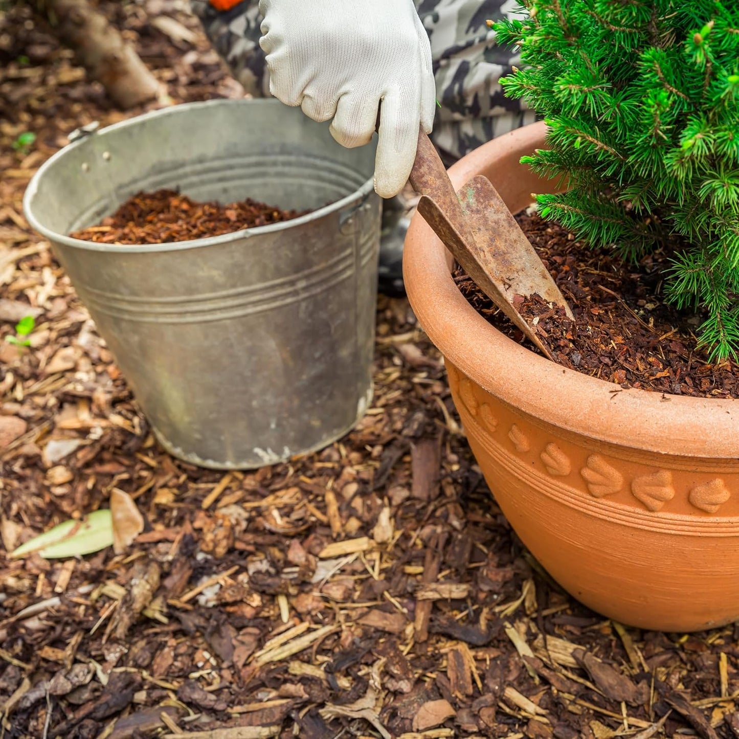 Premium Eucalyptus Wood Mulch for Indoor, Patio, Potting Media, Gardens, Lawns, and Landscaping (0.2 CF - 4.8 L - 5 QTS)