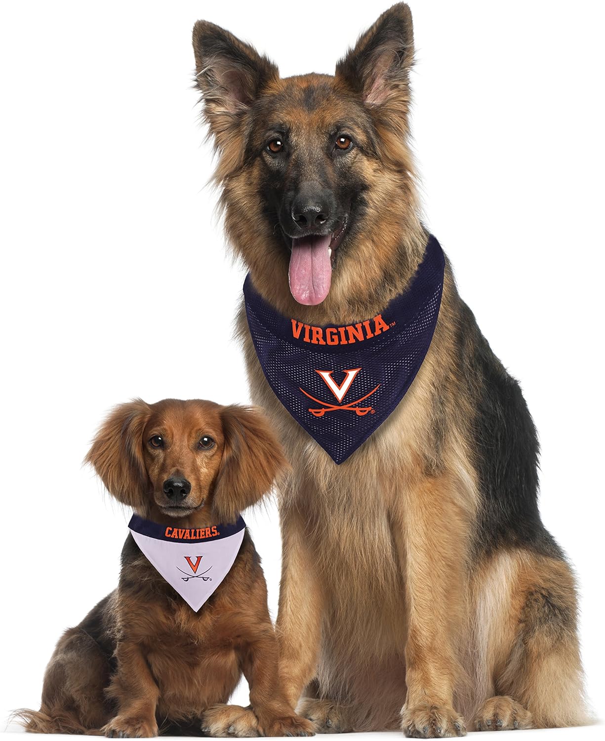 Pets First Collegiate Pet Accessories, Reversible Bandana, Virginia Cavaliers, Large/X-Large